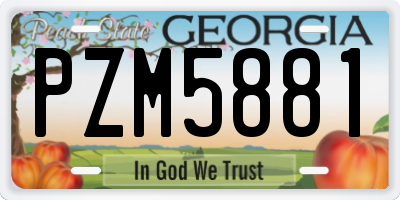 GA license plate PZM5881