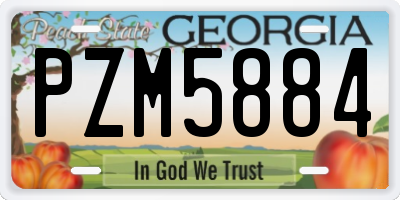 GA license plate PZM5884