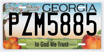 GA license plate PZM5885