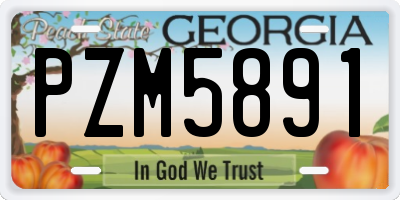 GA license plate PZM5891