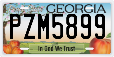 GA license plate PZM5899