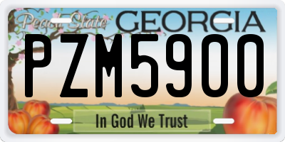 GA license plate PZM5900
