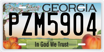GA license plate PZM5904