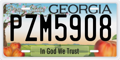 GA license plate PZM5908