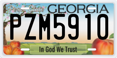 GA license plate PZM5910