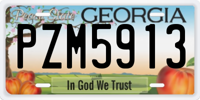 GA license plate PZM5913