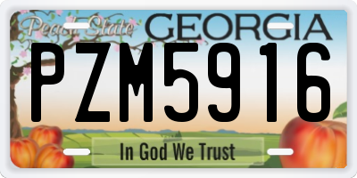 GA license plate PZM5916
