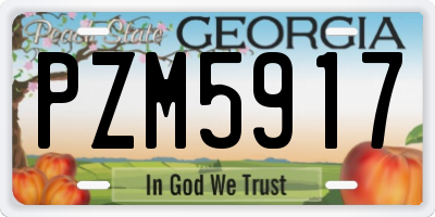 GA license plate PZM5917