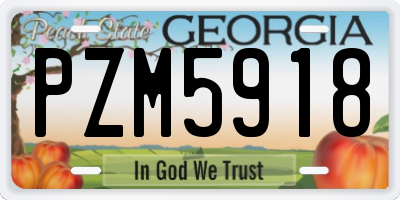 GA license plate PZM5918