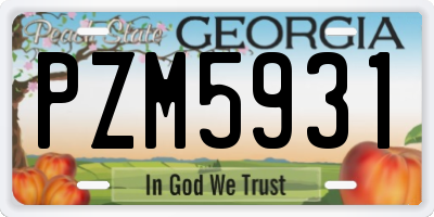 GA license plate PZM5931