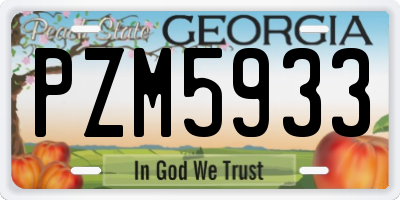 GA license plate PZM5933