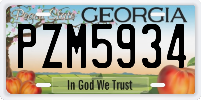 GA license plate PZM5934