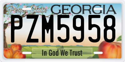 GA license plate PZM5958