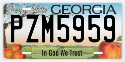 GA license plate PZM5959