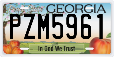 GA license plate PZM5961