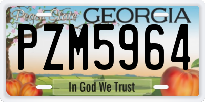 GA license plate PZM5964