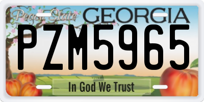 GA license plate PZM5965
