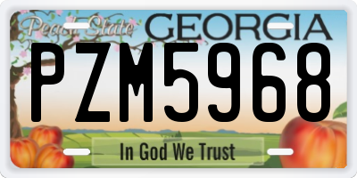 GA license plate PZM5968