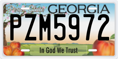GA license plate PZM5972