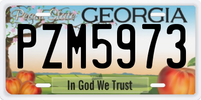 GA license plate PZM5973