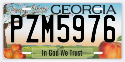 GA license plate PZM5976