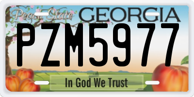 GA license plate PZM5977