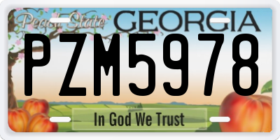 GA license plate PZM5978