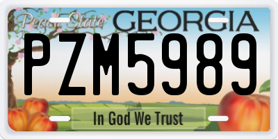 GA license plate PZM5989