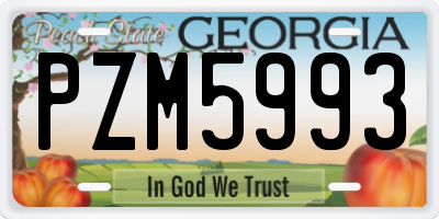 GA license plate PZM5993