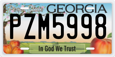 GA license plate PZM5998