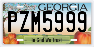 GA license plate PZM5999