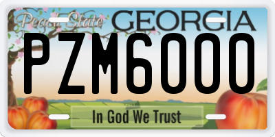 GA license plate PZM6000