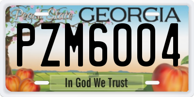 GA license plate PZM6004
