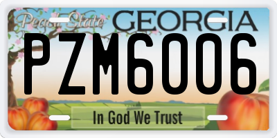 GA license plate PZM6006