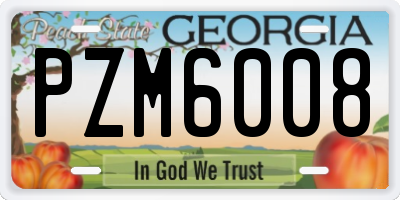 GA license plate PZM6008