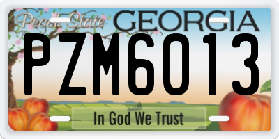 GA license plate PZM6013