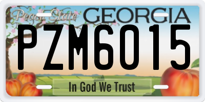 GA license plate PZM6015