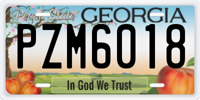 GA license plate PZM6018