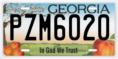 GA license plate PZM6020