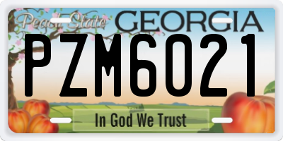 GA license plate PZM6021