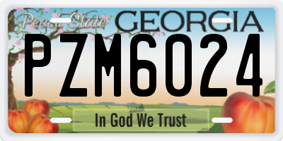 GA license plate PZM6024