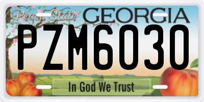 GA license plate PZM6030