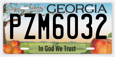 GA license plate PZM6032