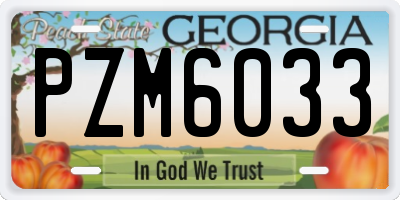 GA license plate PZM6033