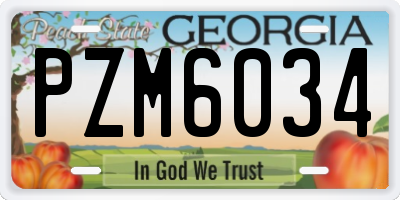 GA license plate PZM6034