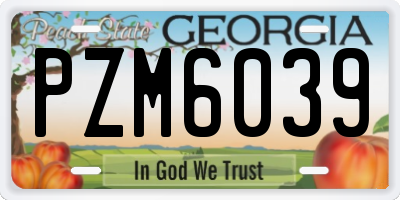 GA license plate PZM6039