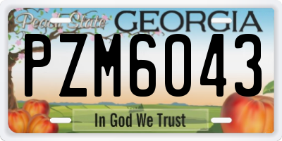 GA license plate PZM6043
