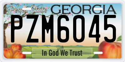 GA license plate PZM6045