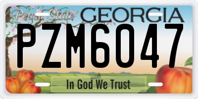 GA license plate PZM6047