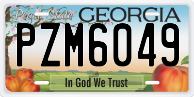 GA license plate PZM6049